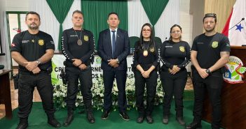 AUDIÊNCIA PÚBLICA AO COMBATE AO CRIMES CIBERNÉTICOS E ORGANIZADO .